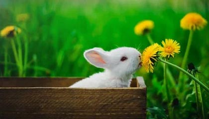 大众会员-半岛体育——点燃你的运动激情